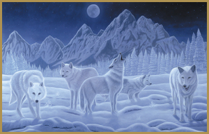 white wolves